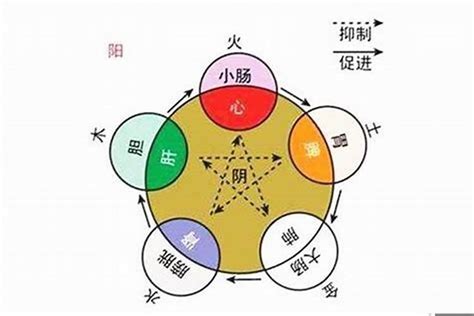 晴五行|晴字名字中的寓意及晴字五行属性